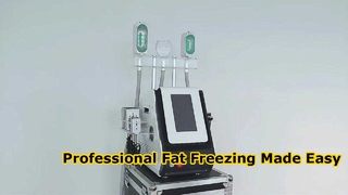 Professional Tabletop 360 Cryolipolysis Fat Freezing Machine